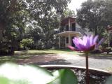 Location picture