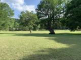 Location picture