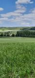 Bild des Orts