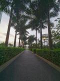 Location picture