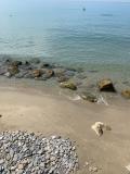 Bild des Orts