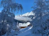 Bild des Orts