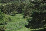 Location picture