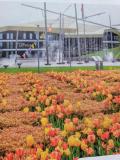 Afbeelding van de locatie