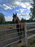 Afbeelding van de locatie