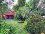 Imagen del lugar