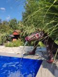 Afbeelding van de locatie