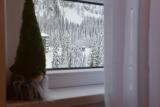 Bild des Orts