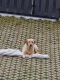 Bild des Orts