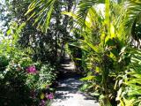 Afbeelding van de locatie