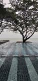 Location picture