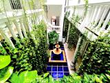 Afbeelding van de locatie