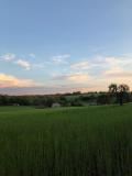 Location picture