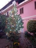 Immagine del luogo