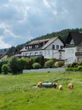 Bild des Orts