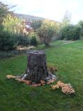 Bild des Orts