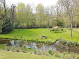 Bild des Orts