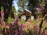 Afbeelding van de locatie