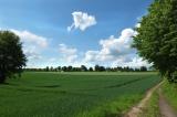 Bild des Orts