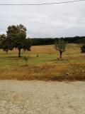 Immagine del luogo