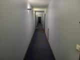 Bild des Orts