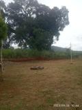 Location picture