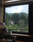 Bild des Orts