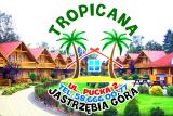 Imagen del lugar