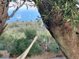 Immagine del luogo