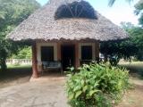 Location picture