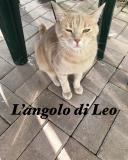 Immagine del luogo