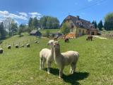Afbeelding van de locatie