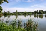 Afbeelding van de locatie