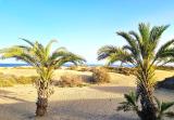 Afbeelding van de locatie
