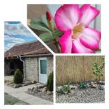 Afbeelding van de locatie