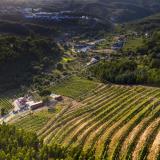 Imagen del lugar