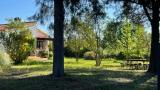 Location picture
