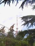 Location picture