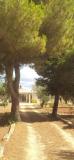 Location picture