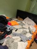 Bild des Orts