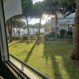 Immagine del luogo