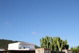 Location picture