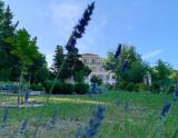 Location picture