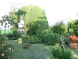 Bild des Orts