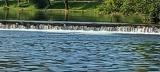 Bild des Orts