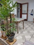 Imagen del lugar
