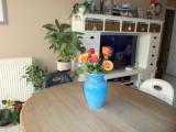 Afbeelding van de locatie