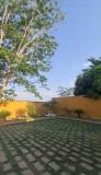 Location picture