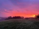 Bild des Orts