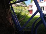 Afbeelding van de locatie